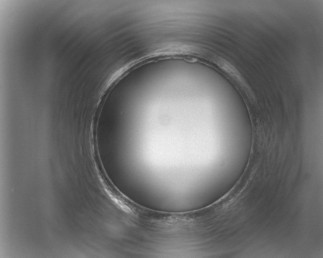 X0000060560842200511030916