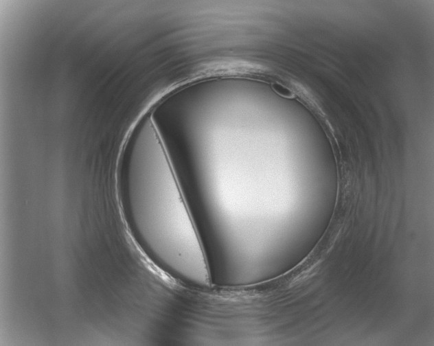 X0000060560843200511030916