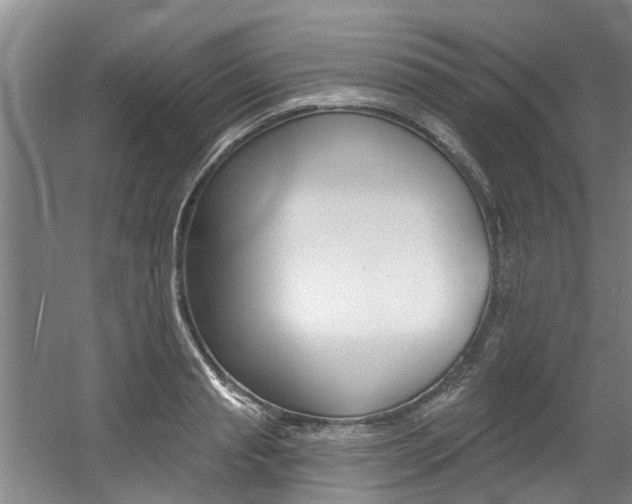 X0000060560845200511030916