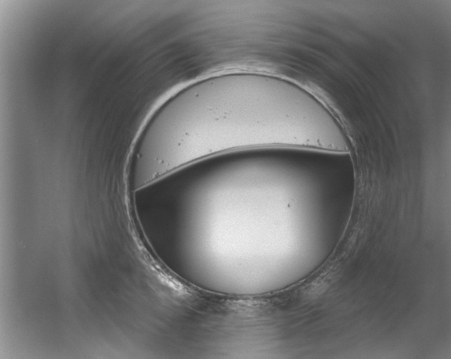X0000060560854200511030916