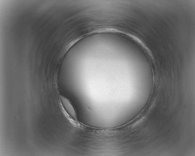 X0000060560905200511030915