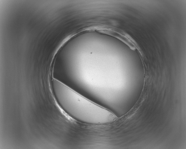 X0000060560909200511030915