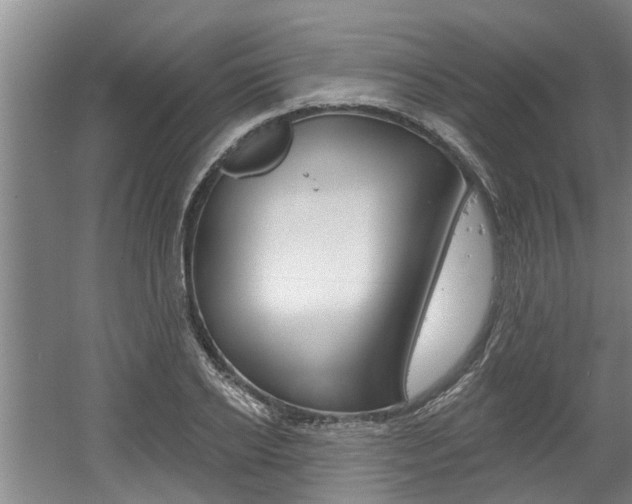 X0000060560934200511030914