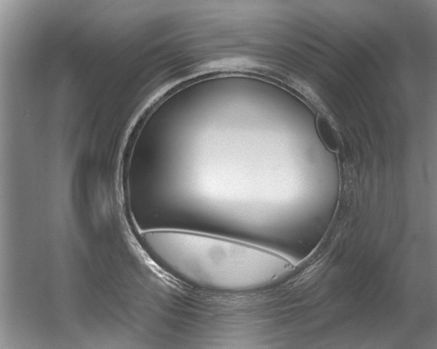 X0000060560939200511030914