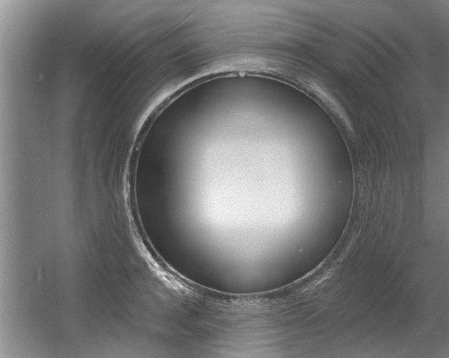 X0000060560944200511030914