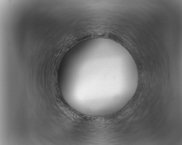 X0000060560961200511030914