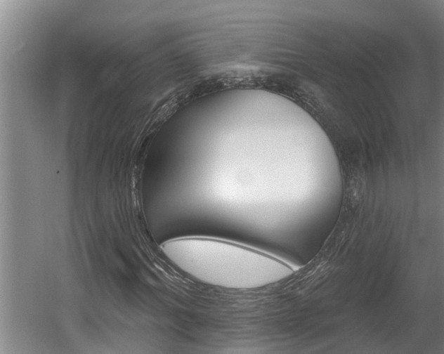 X0000060560964200511030914
