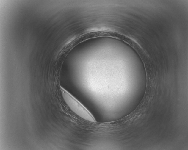 X0000060560967200511030914