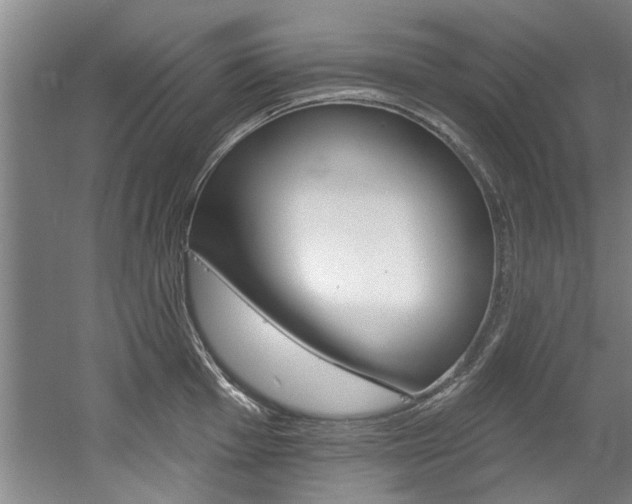 X0000060561001200511030913