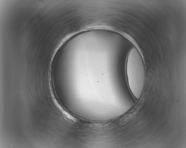 X0000060561005200511030913