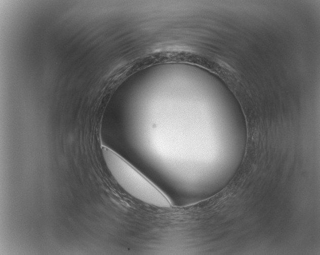 X0000060561014200511030912