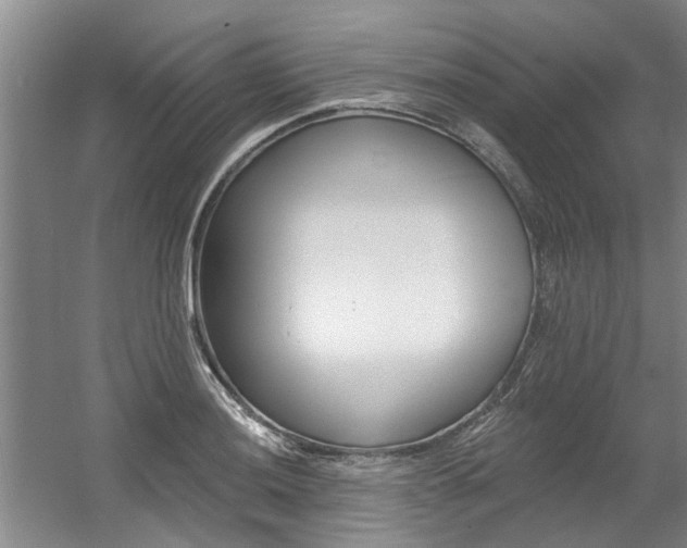 X0000060561036200511030913