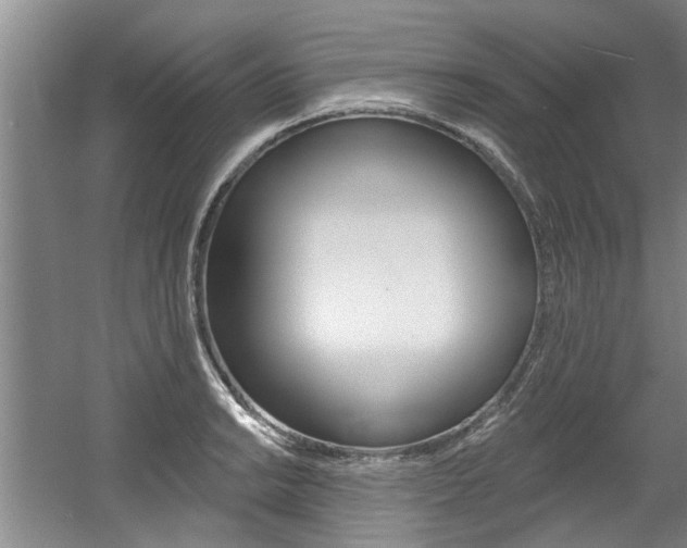 X0000060561038200511030913