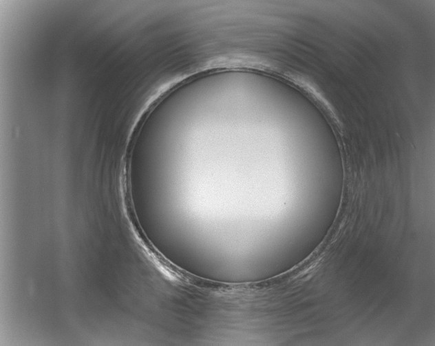 X0000060561040200511030913