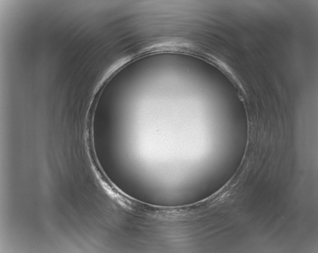 X0000060561042200511030913