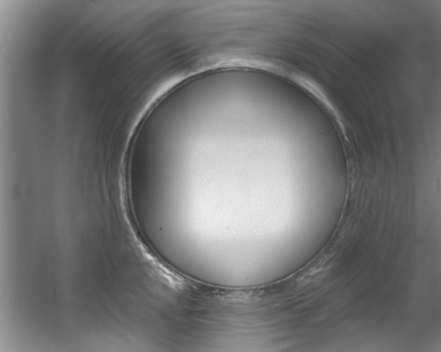 X0000060561048200511030913