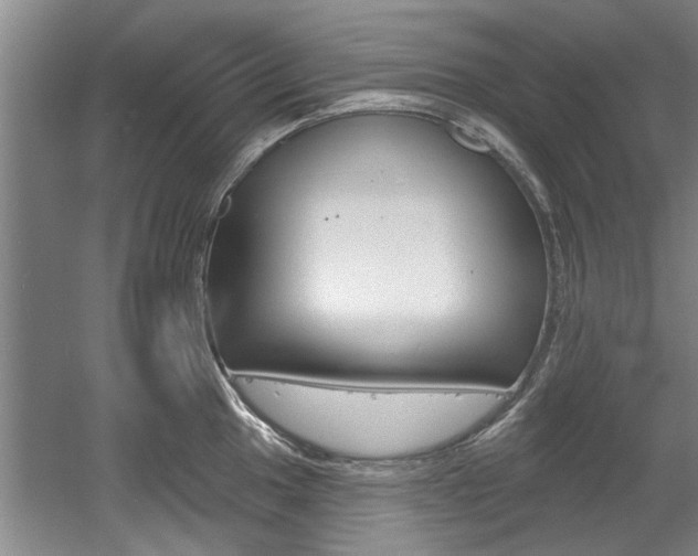 X0000060561049200511030913