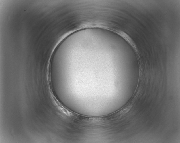 X0000060561052200511030913