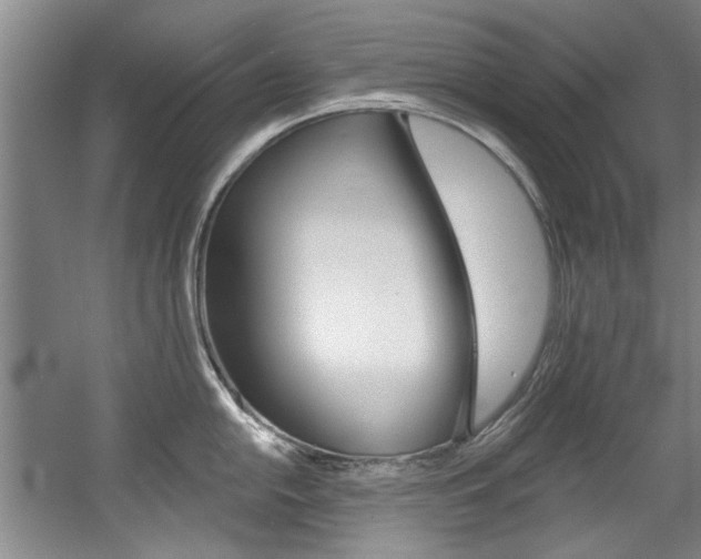 X0000060561054200511030913