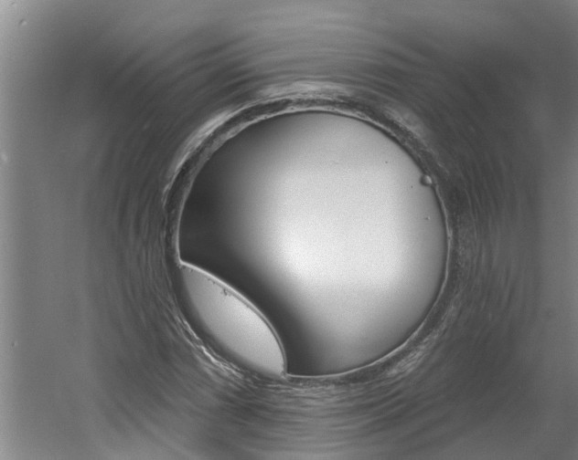 X0000060561066200511030912