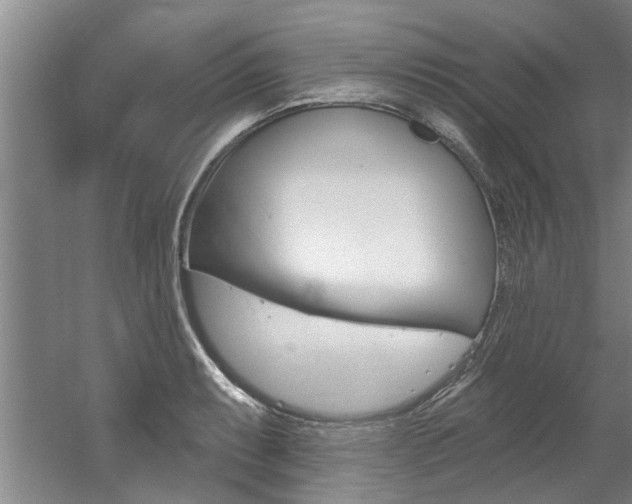 X0000060561087200511030912