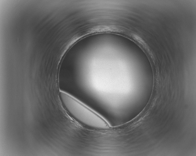 X0000060561089200511030912