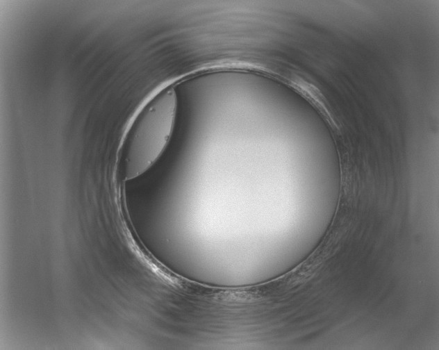 X0000060561092200511030912