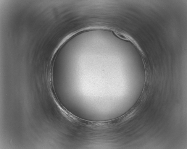 X0000060561101200511030911