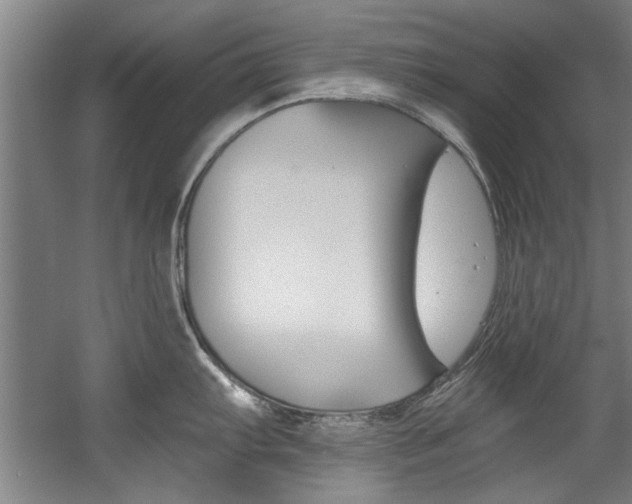 X0000060561103200511030911
