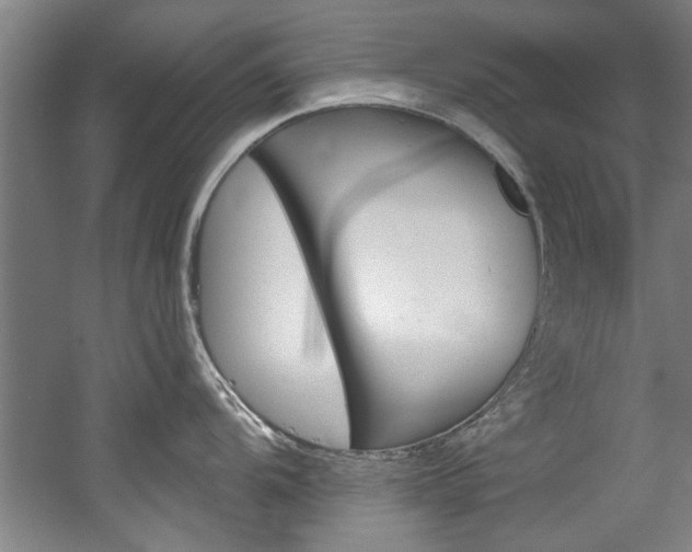 X0000060561104200511030911