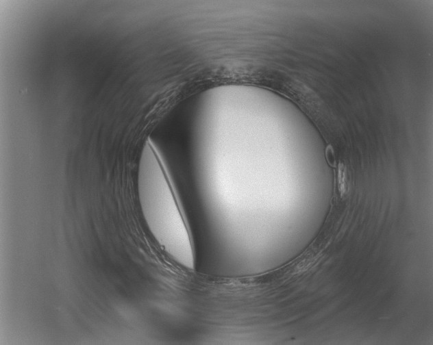 X0000060561107200511030911