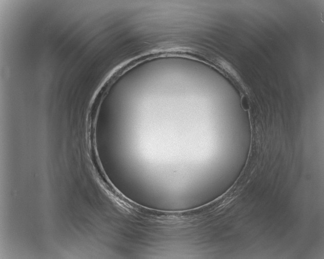 X0000060561124200511030911
