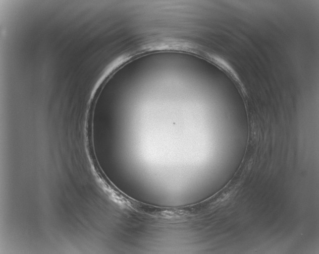 X0000060561138200511030911
