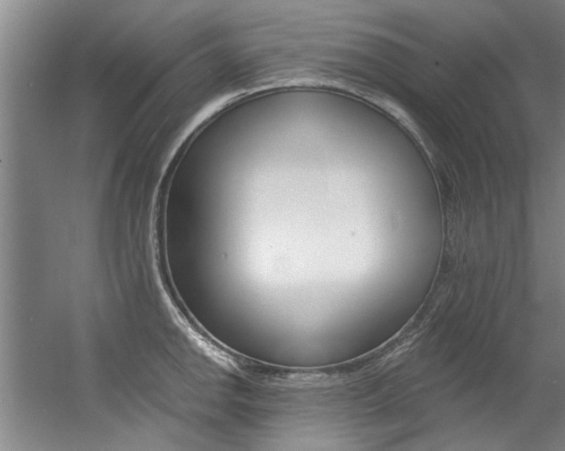 X0000060561142200511030911