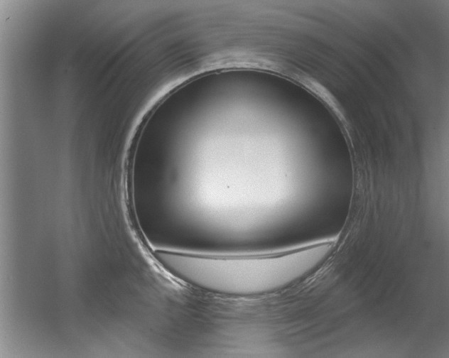 X0000060561144200511030911