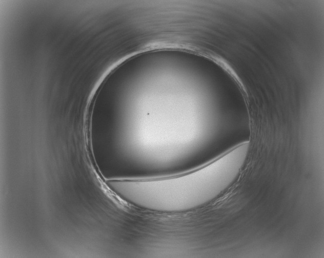 X0000060561148200511030911