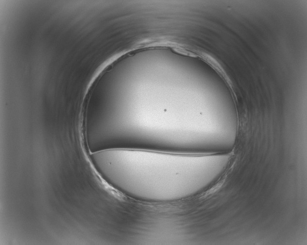 X0000060561149200511030911