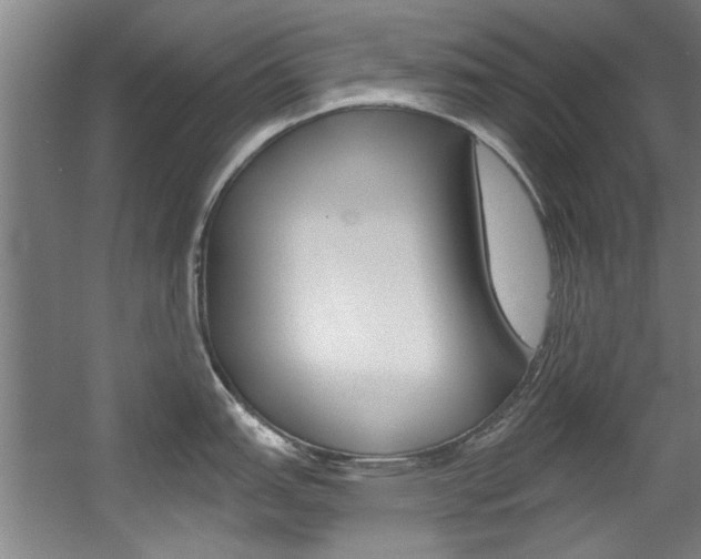 X0000060561151200511030911
