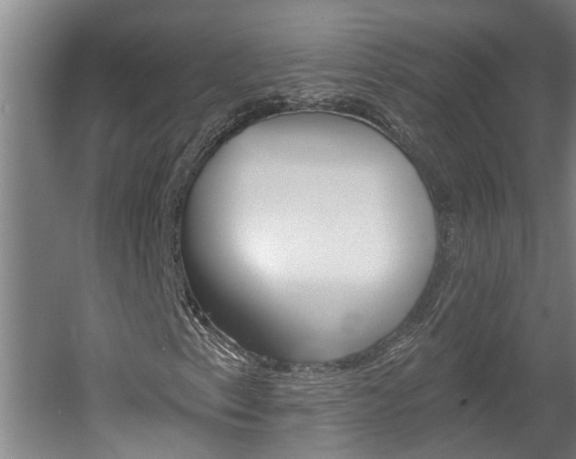 X0000060561153200511030911
