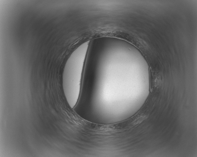 X0000060561156200511030911