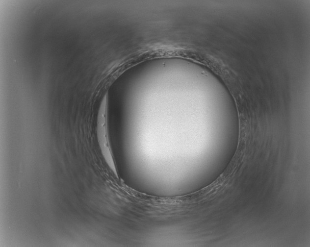 X0000060561157200511030911