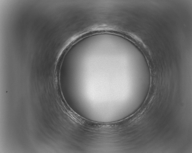 X0000060561167200511030910