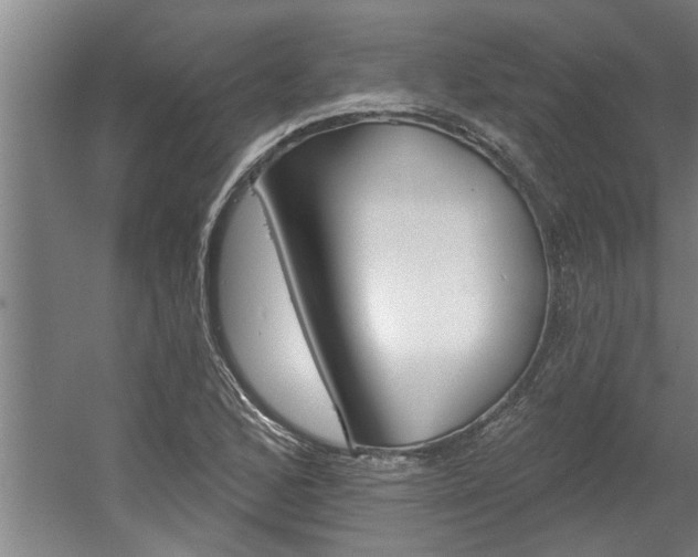 X0000060561168200511030910