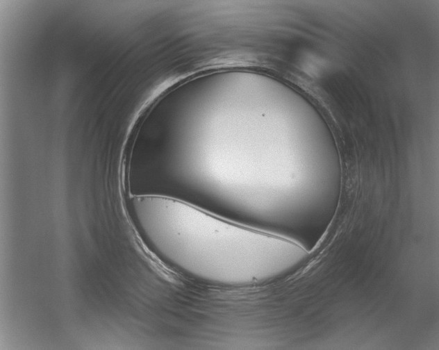 X0000060561179200511030910
