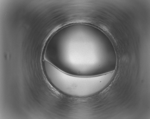 X0000060561181200511030910