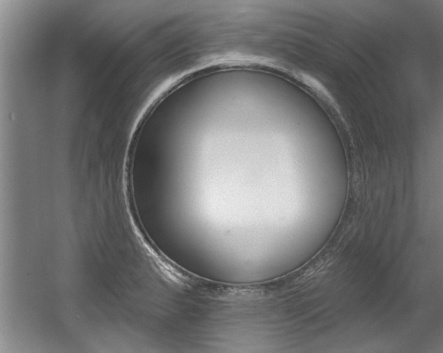 X0000060561183200511030910