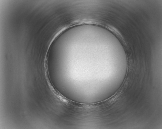 X0000060561190200511030910
