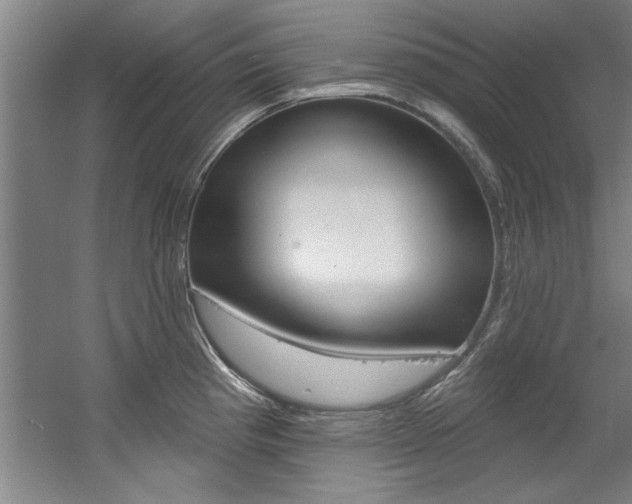 X0000060561193200511030910