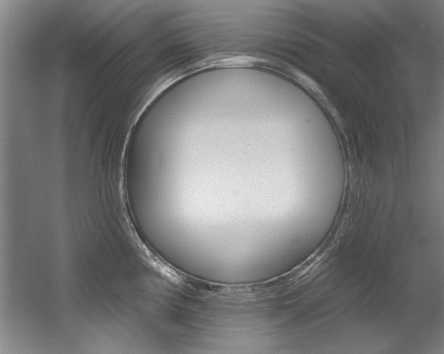 X0000060561194200511030910