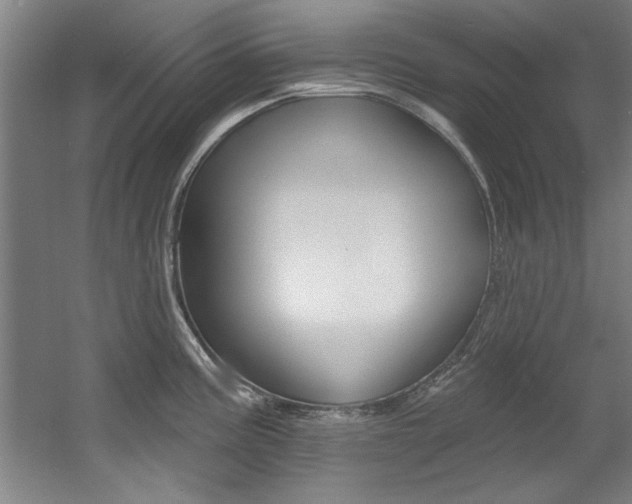 X0000060561195200511030910